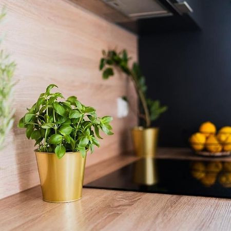 City Center - 3 Rooms - New Building - Private Parking Place - Garage Wrocław Eksteriør bilde