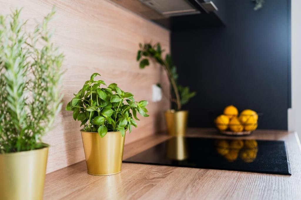 City Center - 3 Rooms - New Building - Private Parking Place - Garage Wrocław Eksteriør bilde